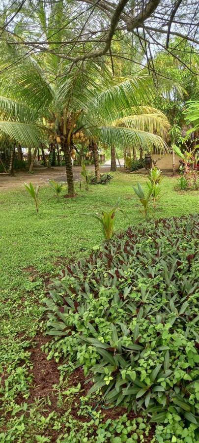 Selong Belanak Bungalows Exterior foto