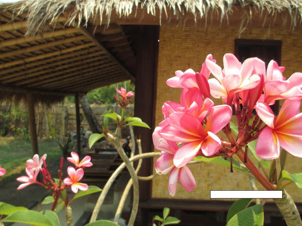 Selong Belanak Bungalows Exterior foto